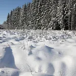 Cozy Forest Escape Dağ evi *