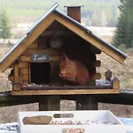 シャレー Cozy Forest Escape *