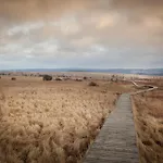 シャレー Cozy Forest Escape