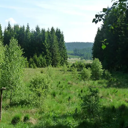 Cozy Forest Escape 샬레