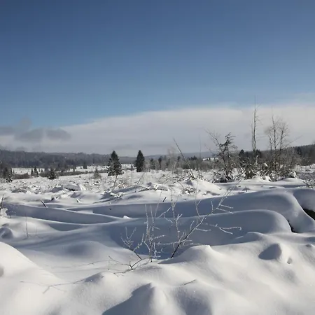 Cozy Forest Escape 샬레 사우어브로드트