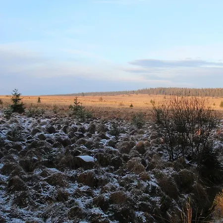 Cozy Forest Escape 샬레 *