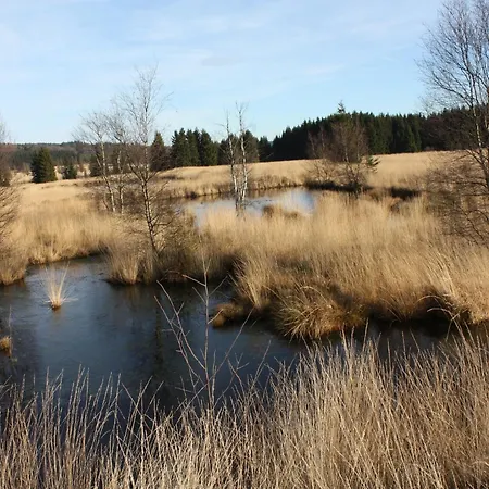 Cozy Forest Escape 샬레 사우어브로드트