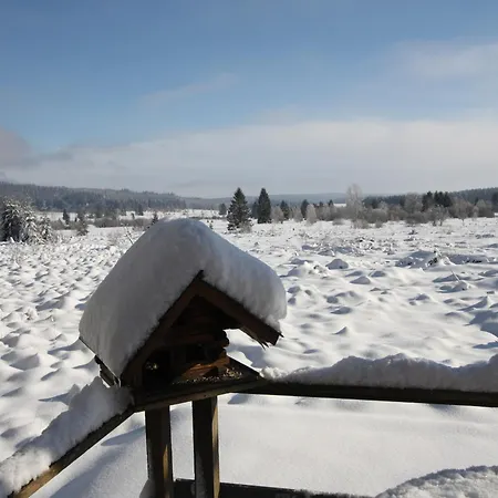 Cozy Forest Escape 사우어브로드트