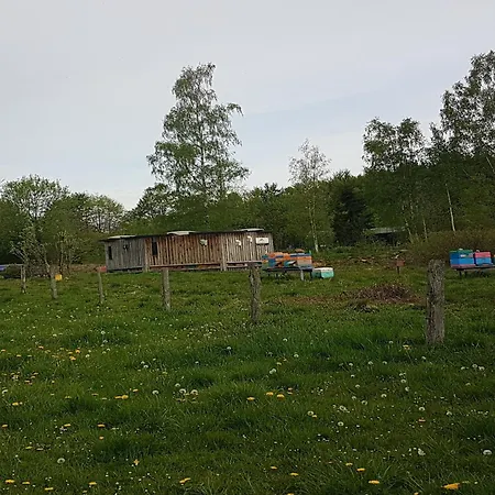 Cozy Forest Escape Dağ evi *