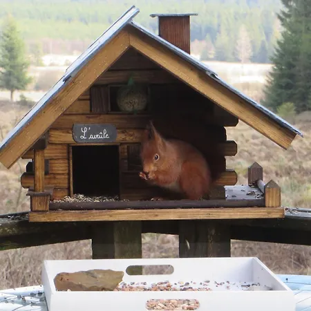 샬레 Cozy Forest Escape *