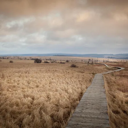 샬레 Cozy Forest Escape