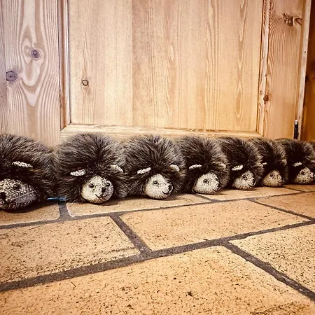 샬레 Cozy Forest Escape 사우어브로드트