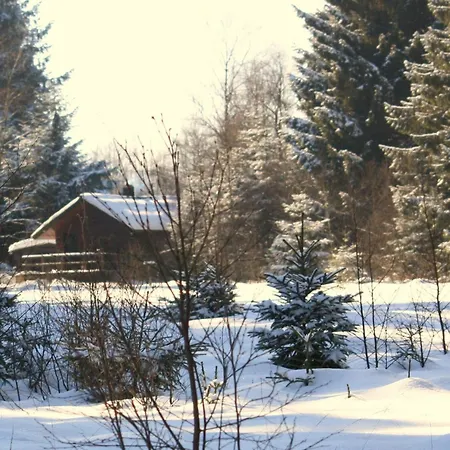 Cozy Forest Escape 샬레