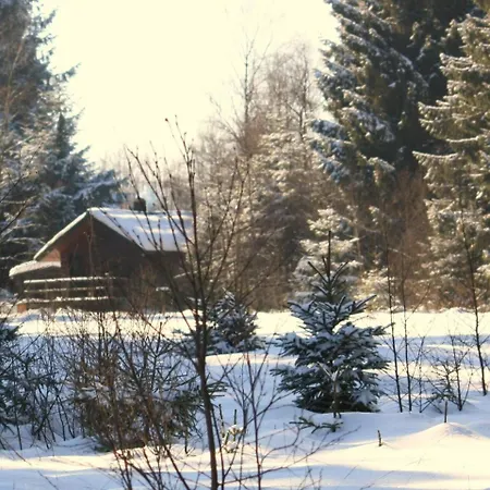 Rustic Chalet Ultimate Relaxation In The Forest