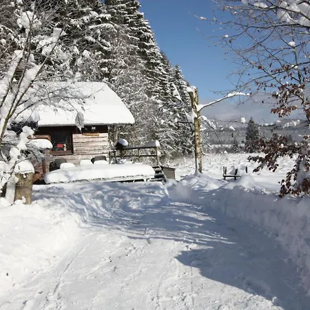 Rustic Chalet Ultimate Relaxation In The Forest