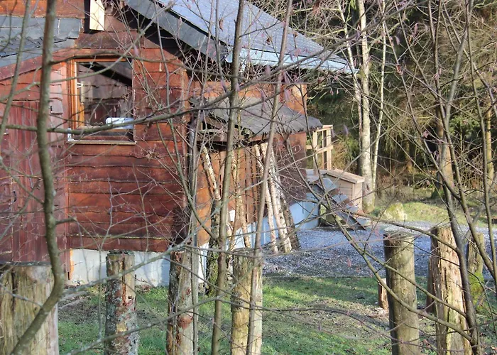 Cozy Forest Escape * سوربرودت